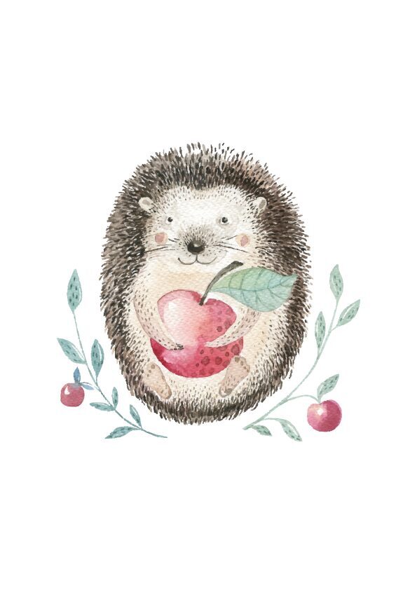 Children's T-Shirt Hedgehog with apple / light pink